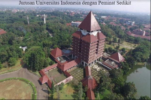 Jurusan Universitas Indonesia dengan Peminat Sedikit Tahun 2022